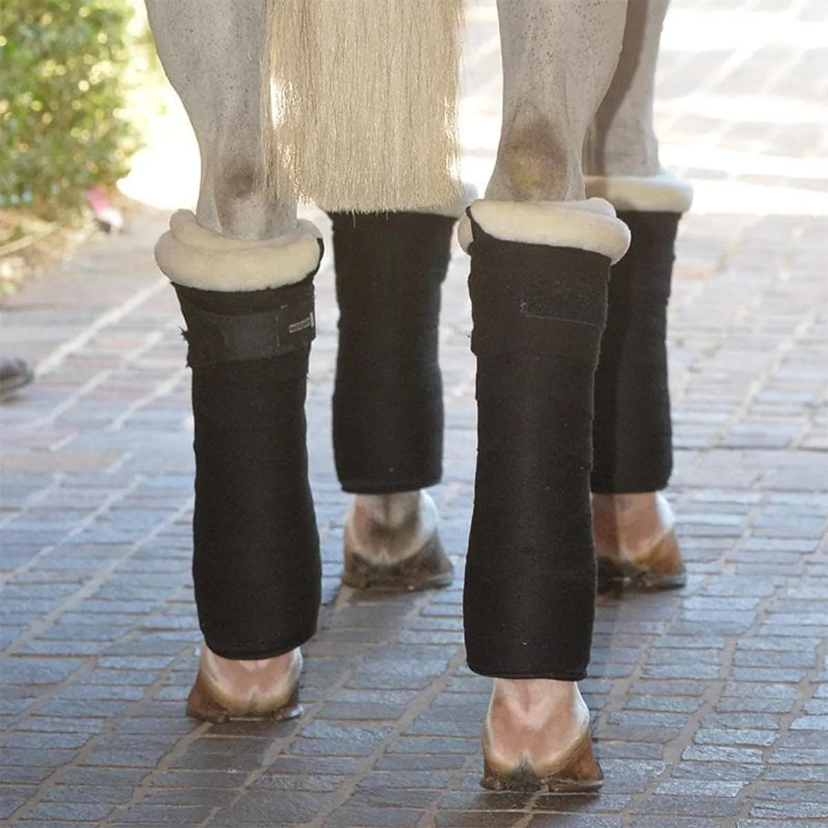 EquiFit Sheepswool T-Foam Standing Wraps