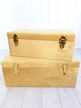 VELVET CASE- MUSTARD