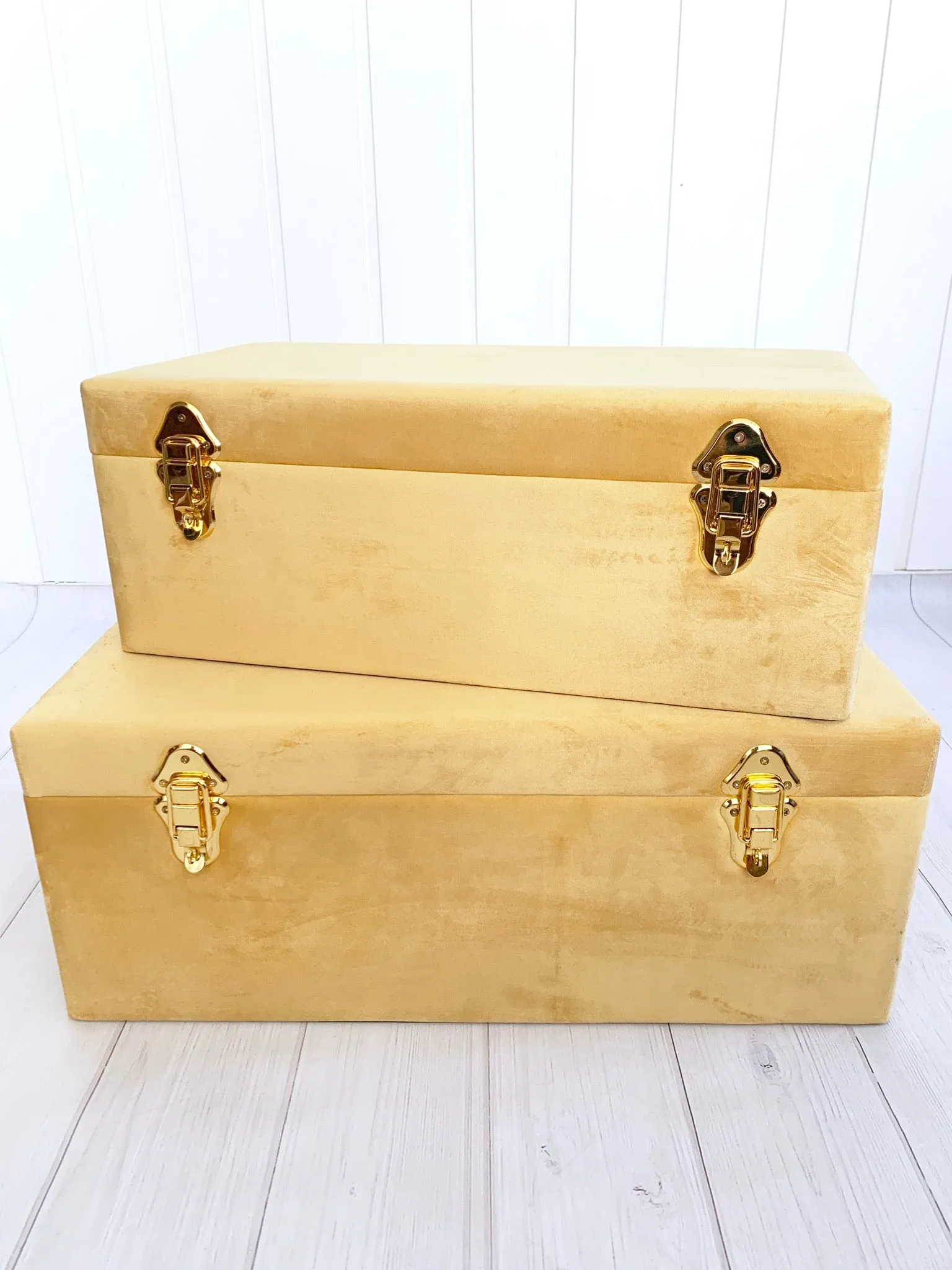 VELVET CASE- MUSTARD